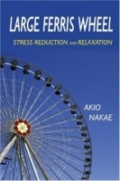 Large Ferris Wheel артикул 4514a.