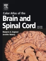 Color Atlas Of The Brain And Spinal Cord: An Introduction to Normal Neuroanatomy артикул 4415a.